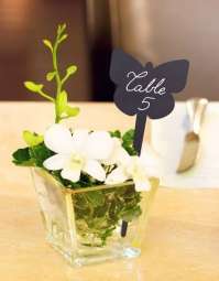 Ценникодержатель "Бабочка" пластик черный