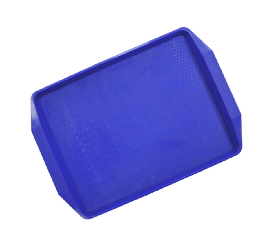 Поднос пластиковый 420х300мм синий