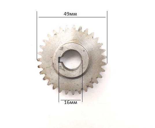 Шестерня подъема дежи большая Z31