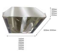 Зонт вентиляционный 1200х1800х350