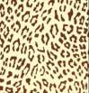 Пленка с пищевым рисунком Леопард