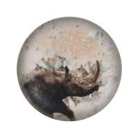 Тарелка d230мм Саванна Bonna носорог