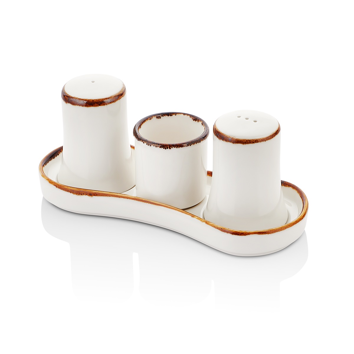 Набор для специй 4 предмета фарфор Gleam By Bone HA-GL-GT-04-TT