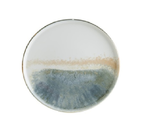 Тарелка d270мм Фиум Bonna