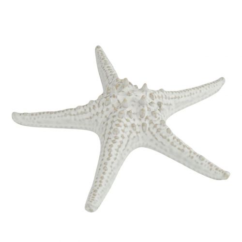 Блюдо 240мм морская звезда керамика Frutti di Mare P.L.