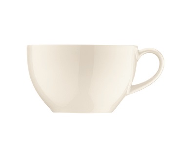 Чашка чайная 250мл Аквелис Bonna RIT04CPF