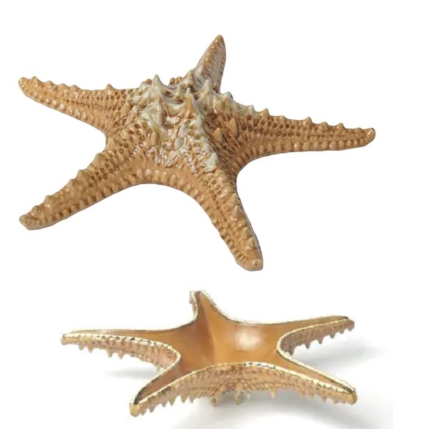 Блюдо 280мм морская звезда Frutti di Mare керамика
