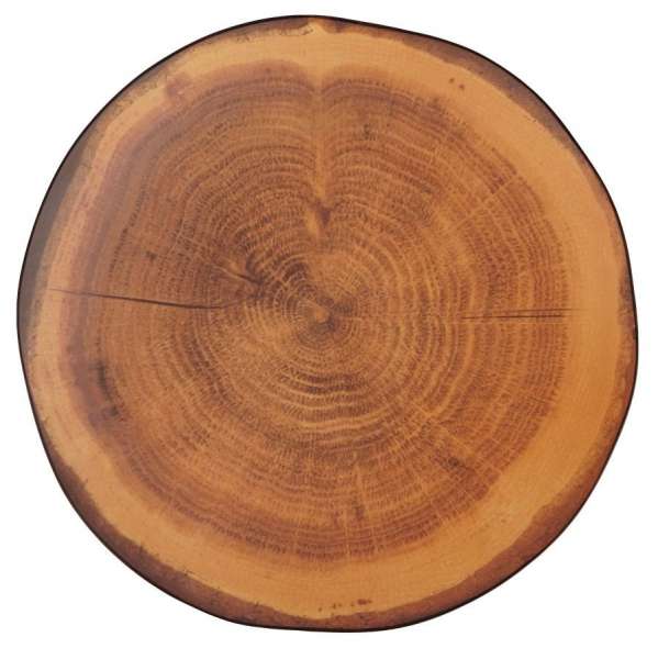 Wood Fusion